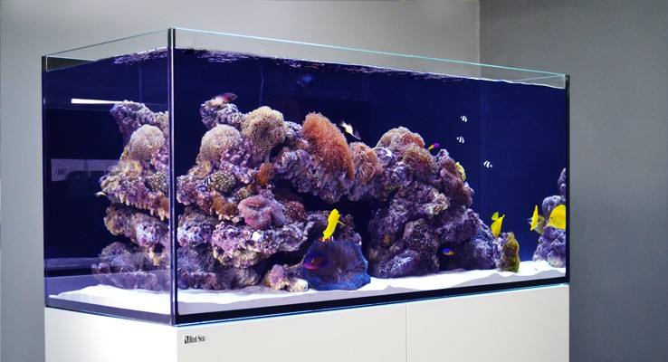 Red sea reefer bezrámové akvárium